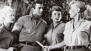 Swamp Women — foto 1