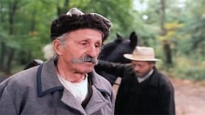 Syzyfowe prace — foto 3