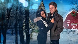 Sappy Holiday — foto 1