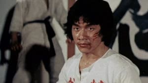 新精武門 — foto 2