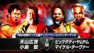 NJPW The New Beginning in Osaka 2014 — foto 9