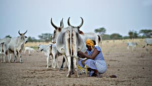 El sistema de la leche — foto 2