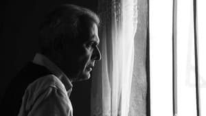 دشت خاموش — foto 1