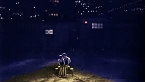 Lonesome — foto 9