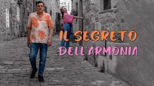 Il segreto dell'armonia — foto 1