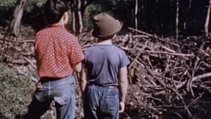 Beaver Dam — foto 1