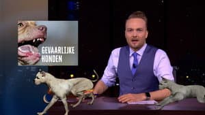 Episodio 12