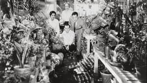 La Invasión de los suplantadores — foto 1