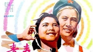 青春 — foto 1