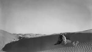 The Garden of Allah — foto 3