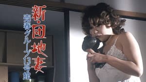 新･団地妻　売春グループ１３号館 — foto 3