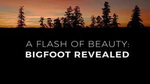 A Flash of Beauty: Bigfoot Revealed — foto 3