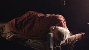 Lamaland — foto 1