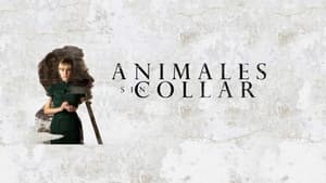 Animales sin collar — foto 1