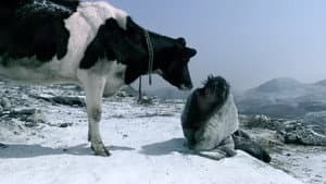 斗牛 — foto 1