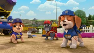 Rubble y Equipo — foto 5