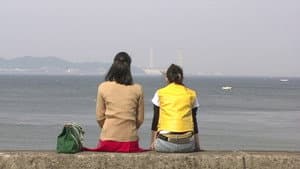 亀は意外と速く泳ぐ — foto 5