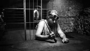 Il ronzio delle mosche — foto 1