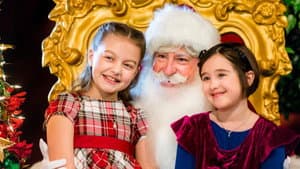 Family for Christmas — foto 4