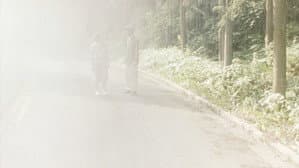 萌の朱雀 — foto 9