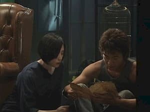 Episodio 8