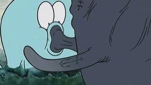 El insecto del amor / Epoca de ballenas