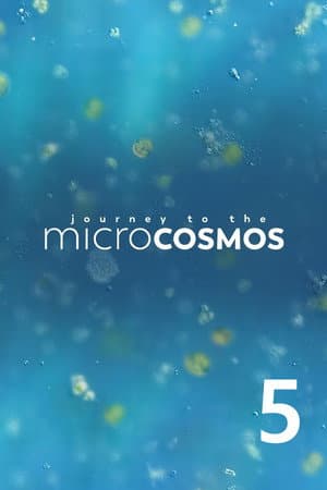 Temporada 5