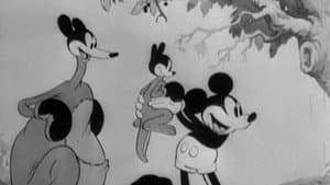El canguro de Mickey — foto 2