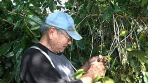 Episodio 13