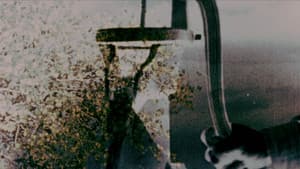 Let's Make a Sandwich — foto 1