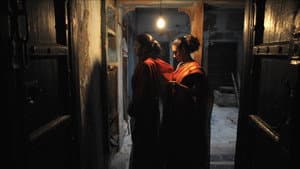 বৃন্দাবনী বৈরাগ্য — foto 2