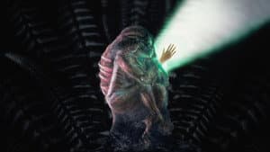 Especies — foto 2