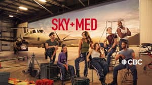 SkyMed — foto 8
