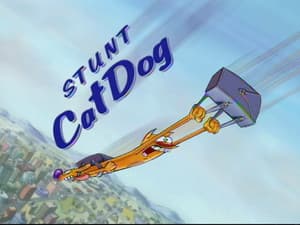 Perro y Gato de Dobles de Riesgo