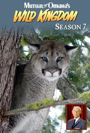 Temporada 7