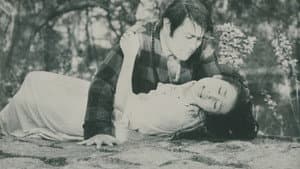내일은 진실 — foto 1