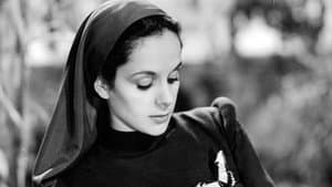 Rosa de América — foto 2