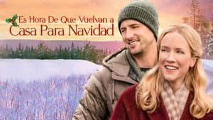 Es hora de que vuelvan a casa para navidad — foto 11