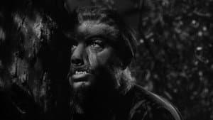 Frankenstein y el hombre lobo — foto 2