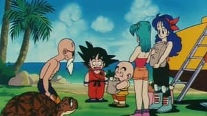 Encuentran la casa de Roshi