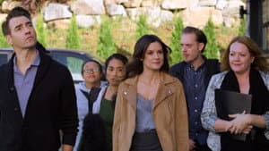 Mr. 365 — foto 12
