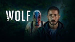 Wolf — foto 7