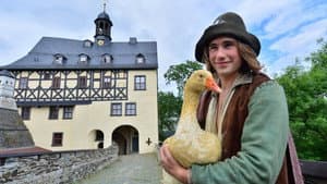 Die goldene Gans — foto 2