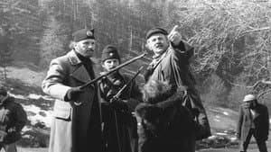 Hajka — foto 1
