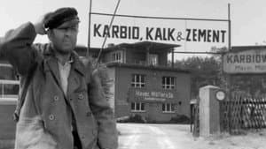 Karbid und Sauerampfer — foto 1