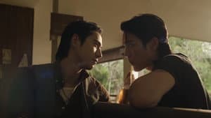 หงเสนคลุกฝุ่น — foto 5