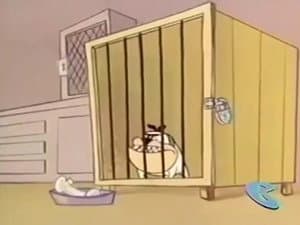 Episodio 9