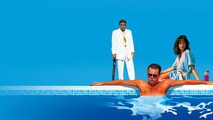 The Business — foto 12