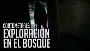 Trágica exploración en el Bosque — foto 1