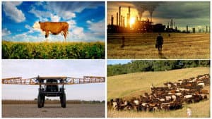 Food, Inc. — foto 3
